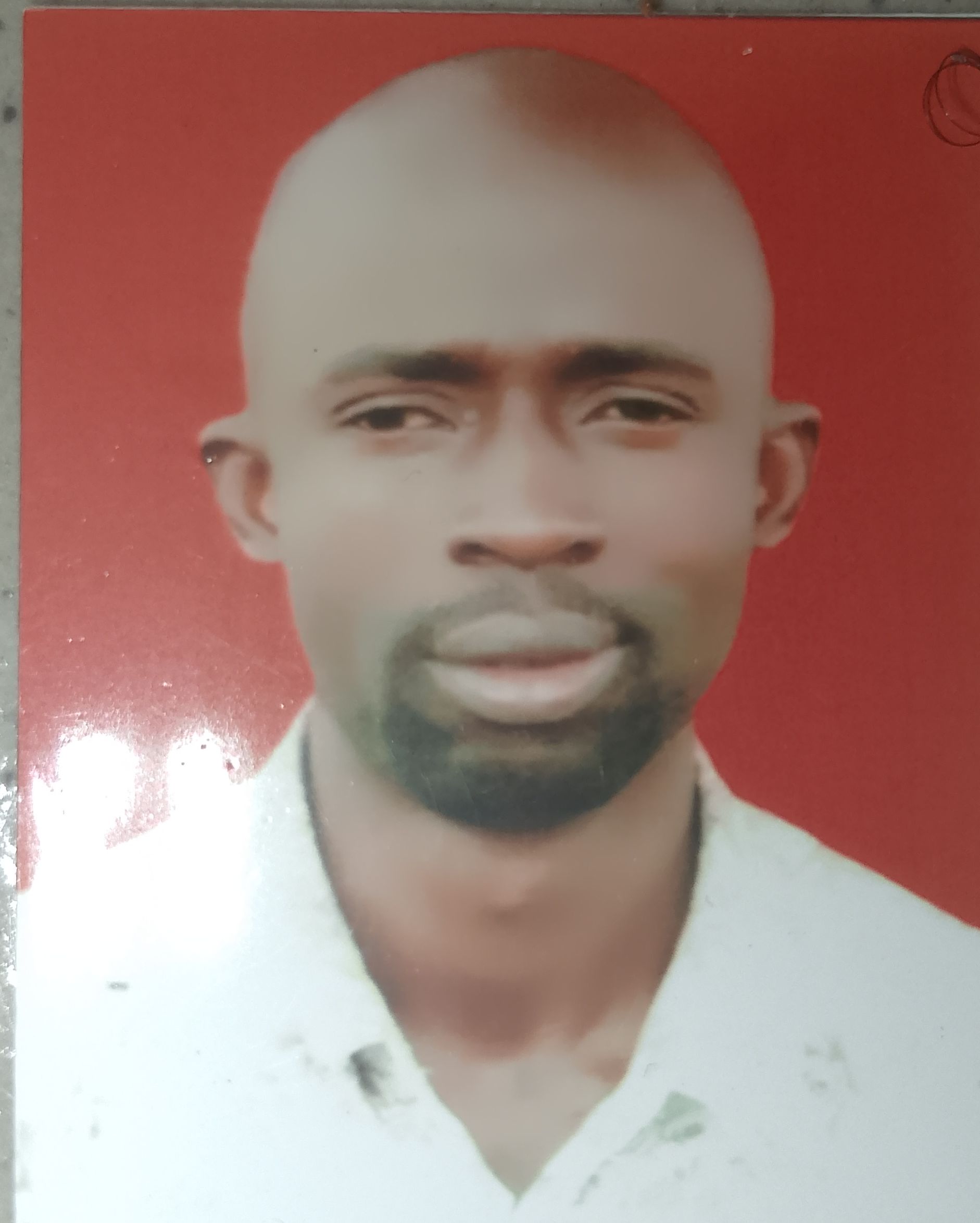 Passport Photo