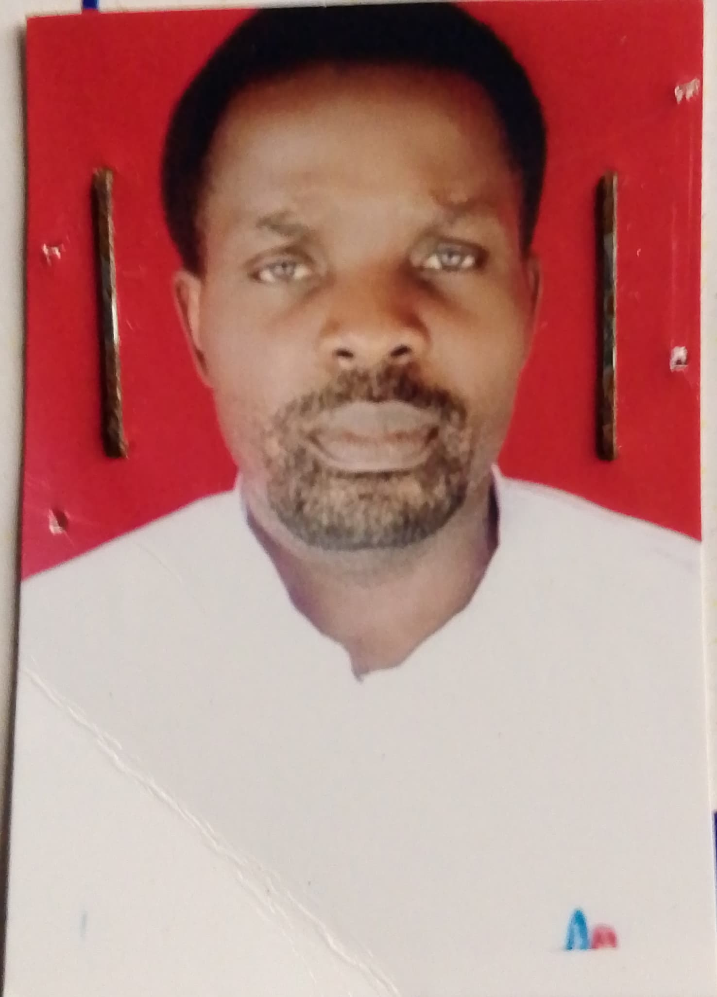 Passport Photo
