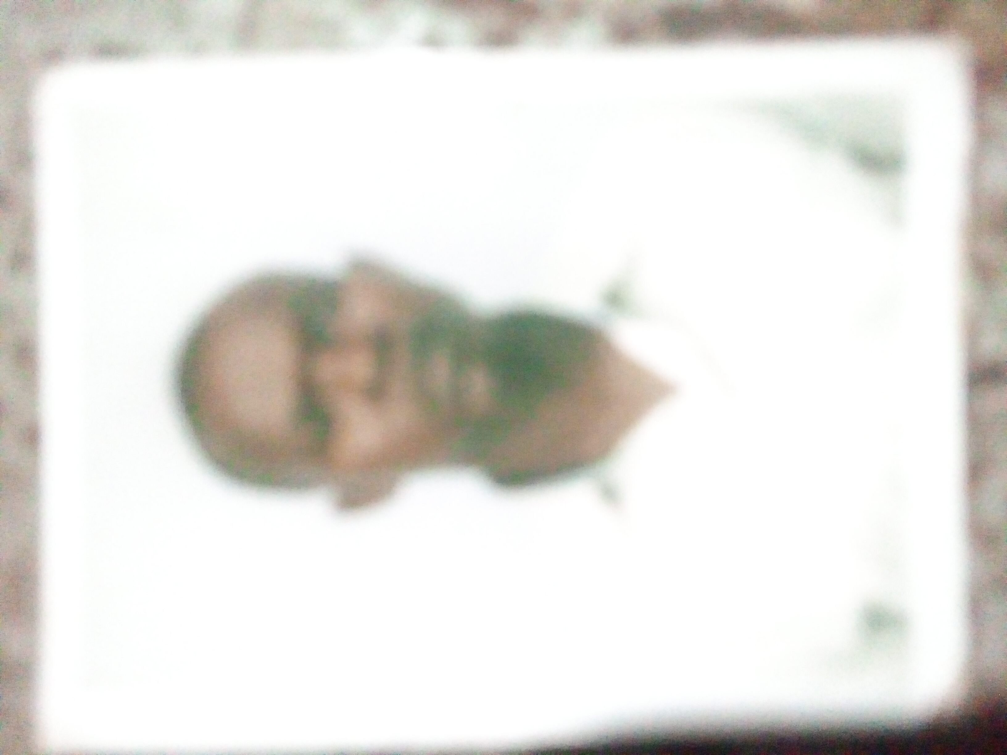 Passport Photo