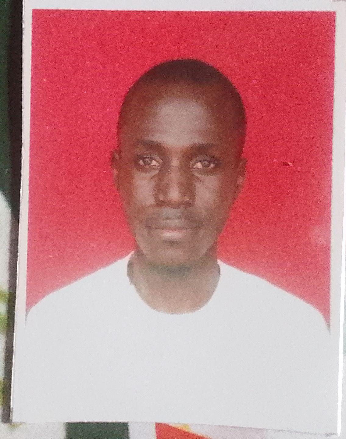 Passport Photo