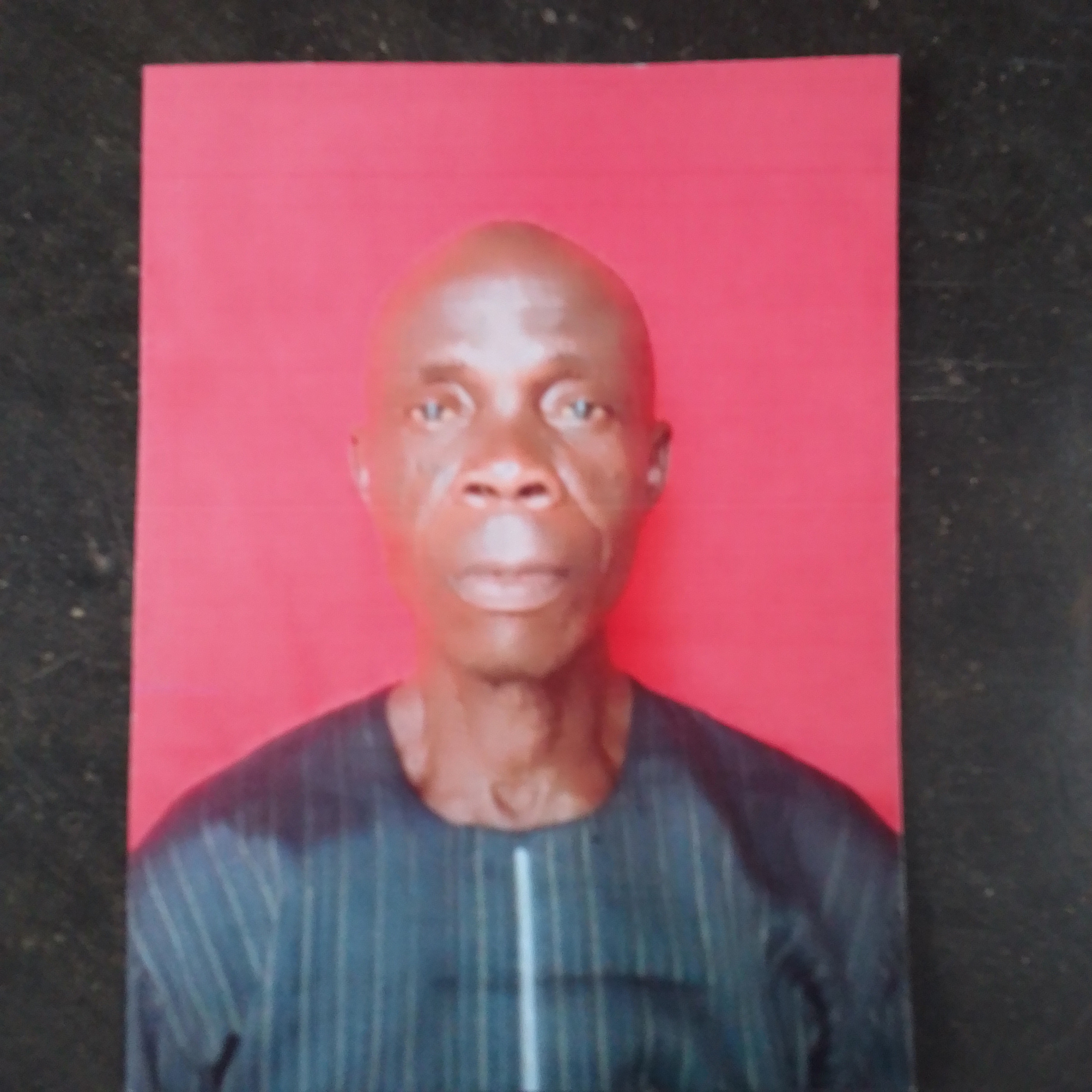 Passport Photo