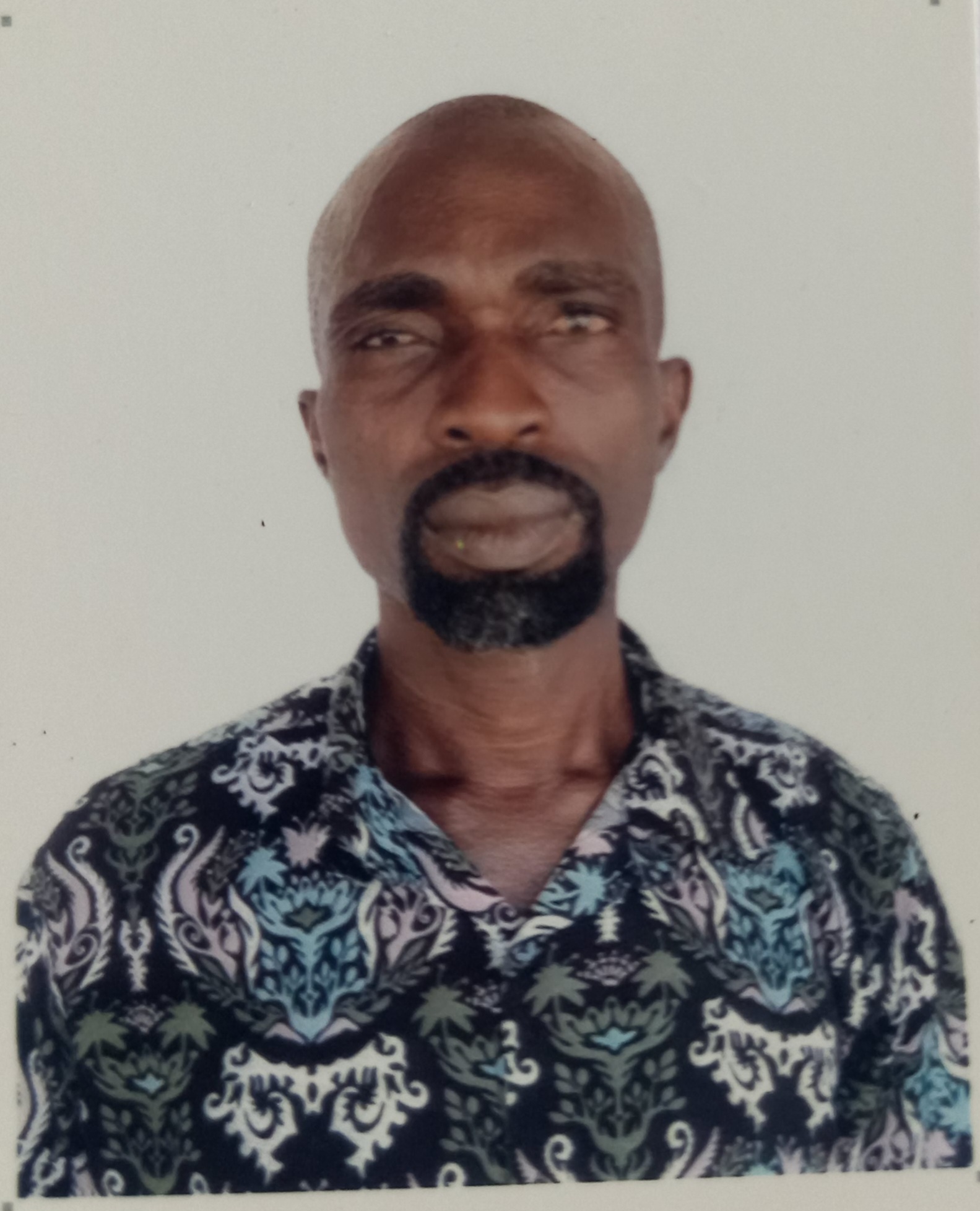 Passport Photo