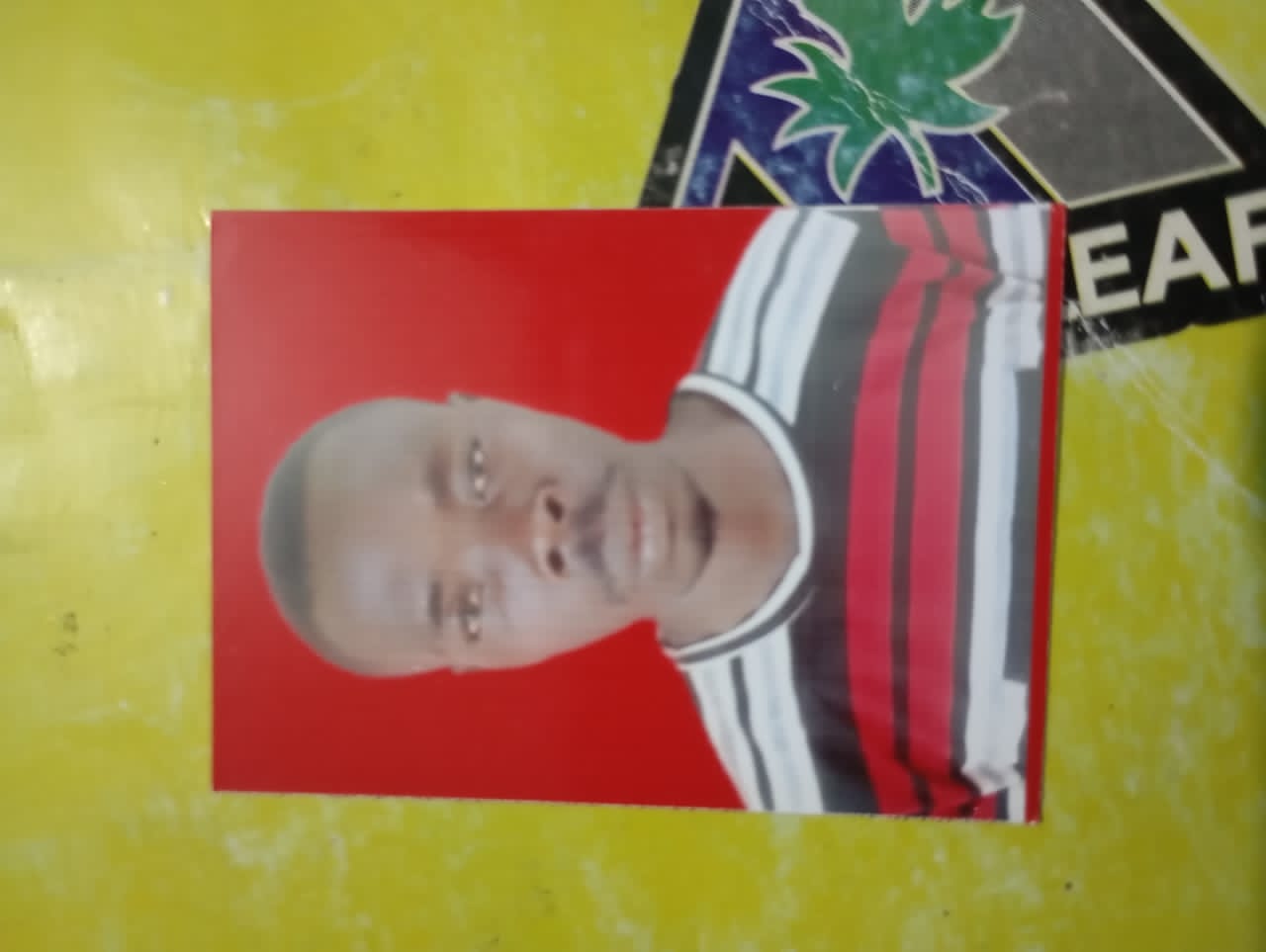 Passport Photo